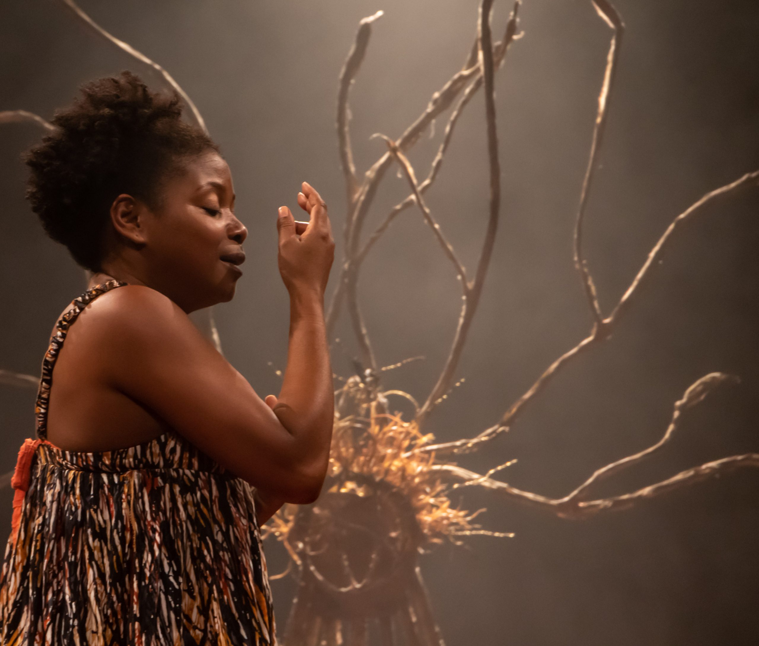 No momento, você está visualizando “Meus Cabelos de Baobá” realiza última apresentação do Circuito Evoé na Pavuna